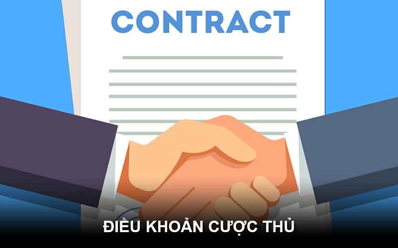 dieu khoan cuoc thu